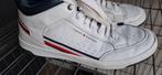 Tommy Hilfiger maat 40, Ophalen of Verzenden, Gedragen