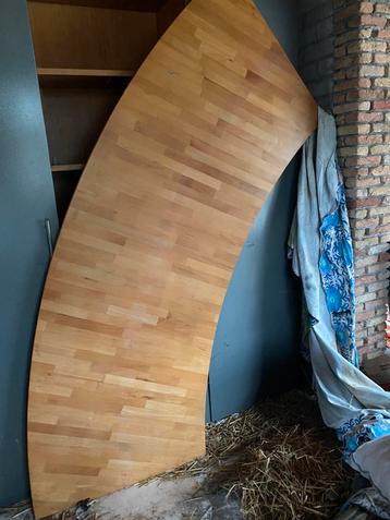 Beukenblad met steunwand . beschikbaar voor biedingen