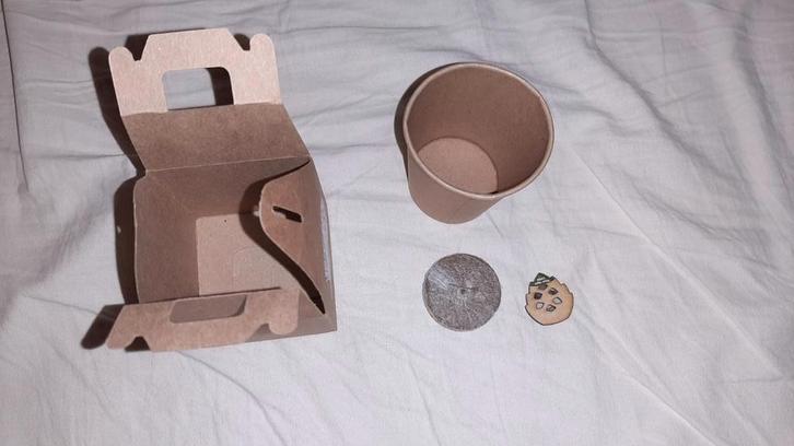 NIEUW Growtree Pine Tree Zaad Kit Boom DENNENBOOM, Tuin en Terras, Bloembollen en Zaden, Zaad, Ophalen of Verzenden