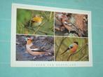 4) kleuren ansichtkaart Vogels, Verzenden, 1980 tot heden, Gelopen, Vogel