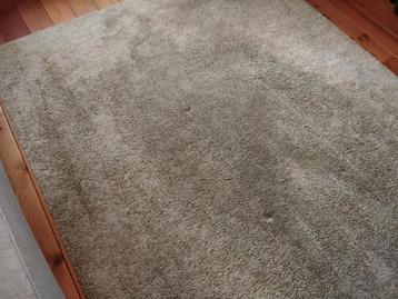 2 grote tapijten/vloerkleden groen