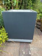 Bloembak 100 x 100 x 100, Tuin en Terras, Ophalen, Kunststof, Vierkant, Nieuw