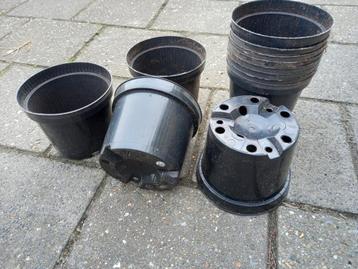 Kweekpot beschikbaar voor biedingen