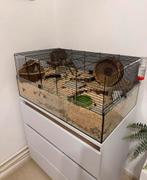 Grote hamsterkooi met veel toebehoren, Ophalen, Kooi, Gebruikt, Hamster
