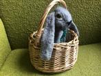 Paashaas vilt met mandje - 18cm - Nieuw, Ophalen of Verzenden, Nieuw