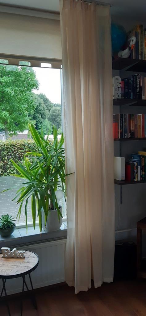 Vitrage H250cm,W180cm. 4 stuks., Huis en Inrichting, Stoffering | Gordijnen en Lamellen, Nieuw, 200 cm of meer, 200 cm of meer