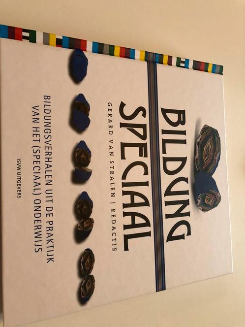 Bildung Speciaal, Boeken, Studieboeken en Cursussen, Zo goed als nieuw, HBO, Ophalen