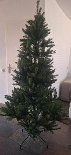 Kestboom, Diversen, Kerst, Ophalen, Zo goed als nieuw