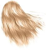 Kapster bij u thuis, Verzenden, Nieuw