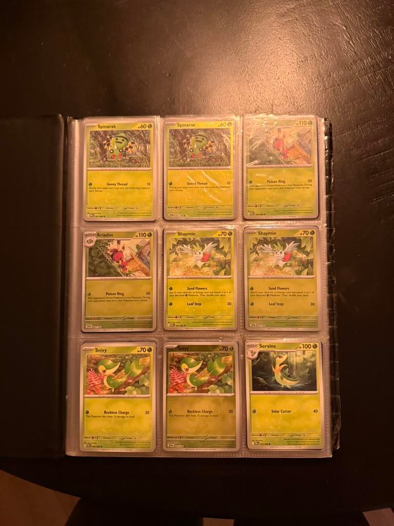 Pokemon perfect order master set, Ophalen of Verzenden, Zo goed als nieuw