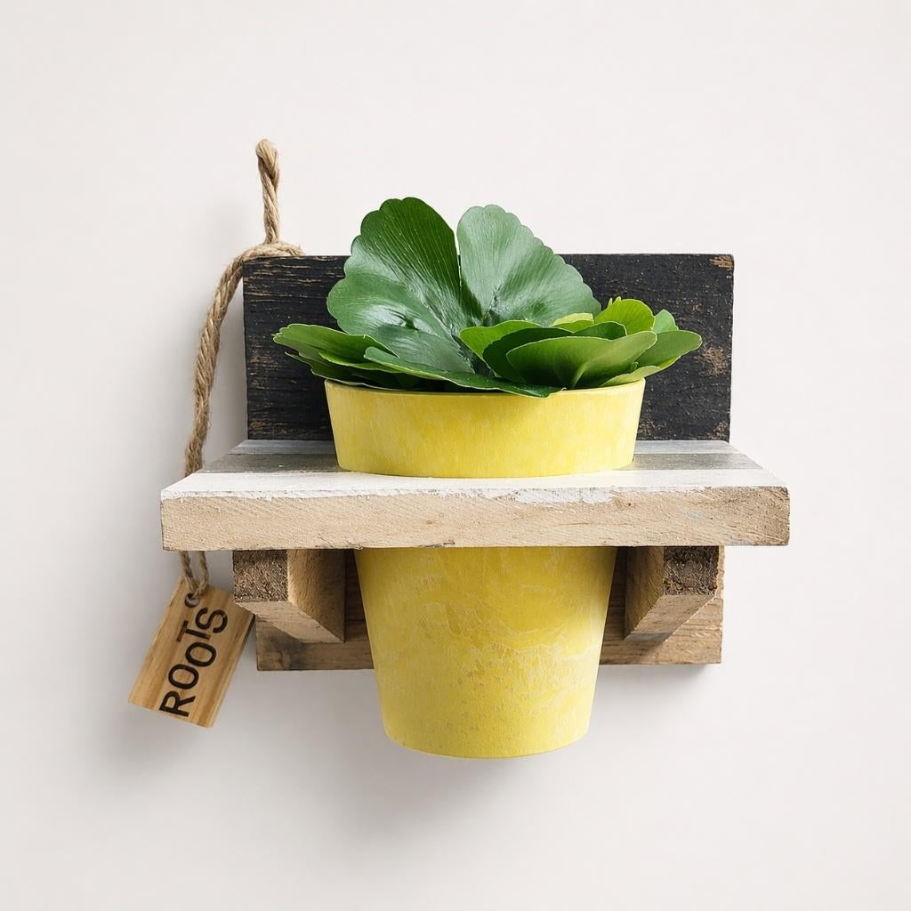 Partij Artstone potten met plantenrek - 125555, Tuin en Terras, NHP International, Minder dan 30 cm, Ophalen of Verzenden, Info@nhp-international.com