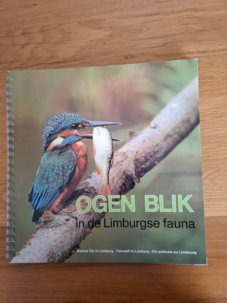 Ogen Blik in de Limburgse fauna - DSM kalender 1983, Boeken, Natuur, Ophalen of Verzenden, Gelezen, Vogels, Maurice Nijsten
