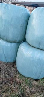 Midi balen voordroog hooi / kuil, Ophalen, Vee