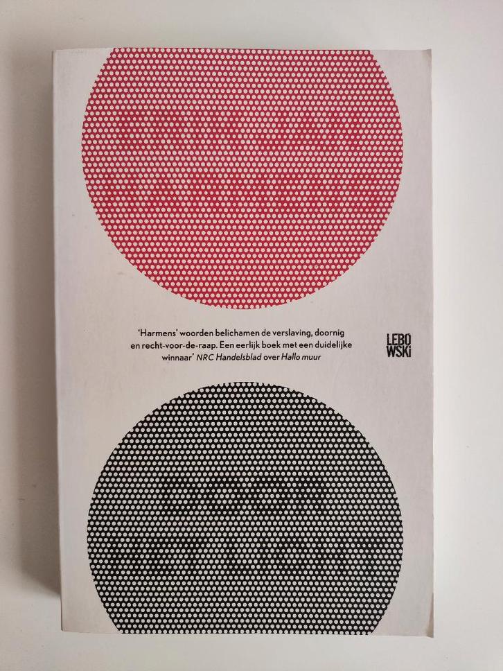 Door het licht - Erik Jan Harmens, Boeken, Literatuur, Zo goed als nieuw, Nederland, Ophalen of Verzenden