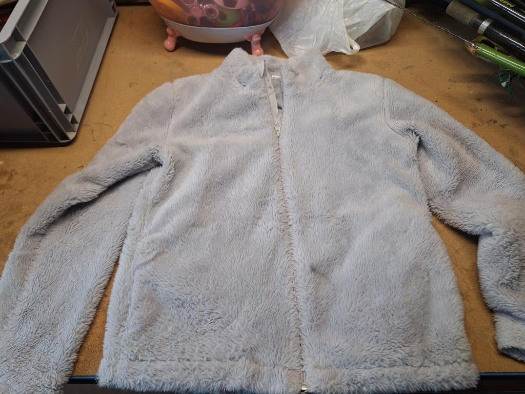 Teddy vest maat 158, Kinderen en Baby's, Kinderkleding | Maat 158, Ophalen of Verzenden, Zo goed als nieuw, Jongen of Meisje, Trui of Vest