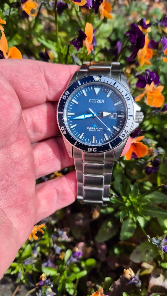 Citizen Promaster Eco Drive (Excalibur), Sieraden, Tassen en Uiterlijk, Horloges | Heren, Ophalen of Verzenden, Zo goed als nieuw