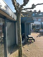 2x dakplantaan, Tuin en Terras, Planten | Bomen, Bloeit niet, Dakboom, 250 tot 400 cm, Ophalen