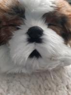 Pluche hond, Ophalen, Gebruikt, Hond