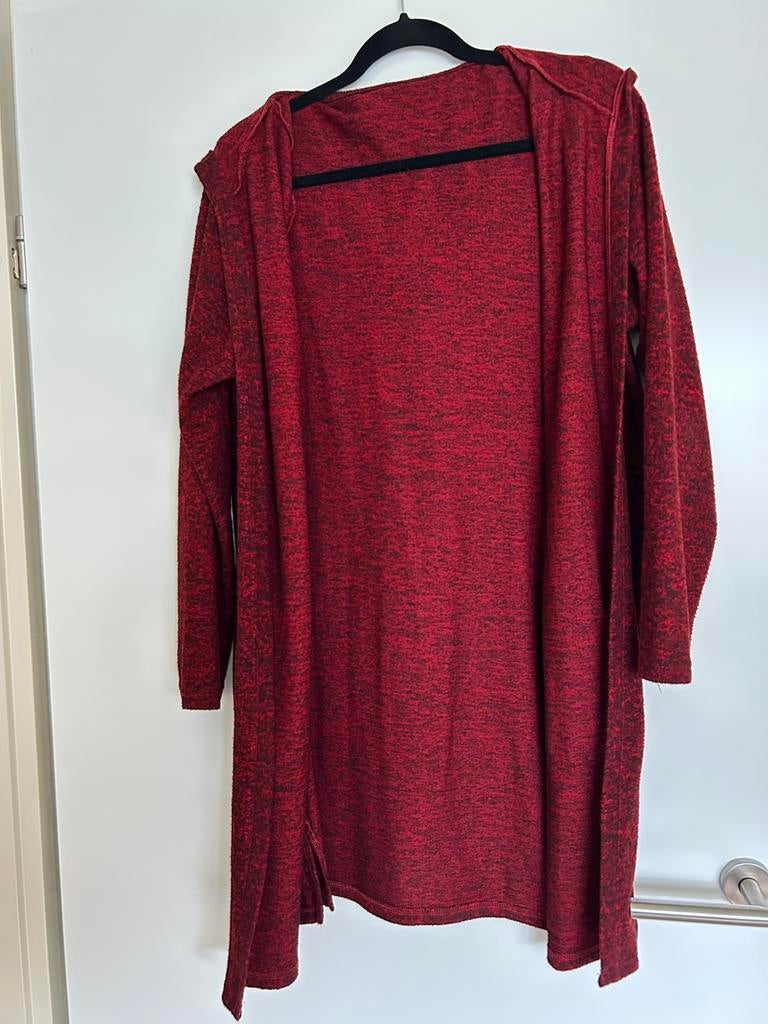 Rood gemêleerd met zwart VEST met capuchon, Ophalen of Verzenden, Gedragen, Maat 42/44 (L), Rood