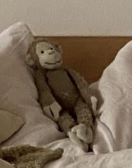 Gezocht: Verloren knuffel (aapje) – Beloning!, Ophalen of Verzenden, Gebruikt, Overige typen