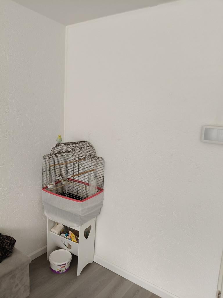 Te koop kooi met parkiet