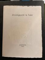 Droomgezicht te Haler. Persoonlijke nieuwjaarskaart, Ophalen of Verzenden, Gelezen, Leo Herberghs, Eén auteur
