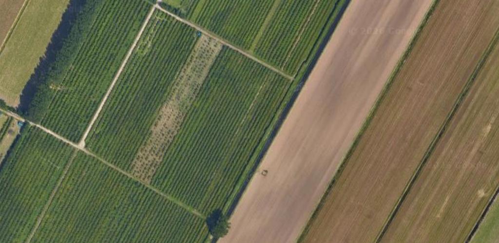 Gezocht landbouwgrond landbouw grond agrarisch kavel, Weidegang
