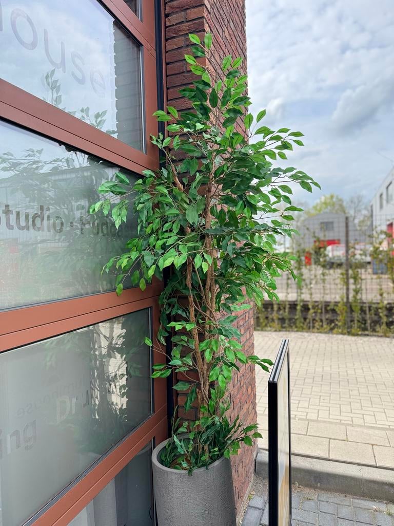 Grote kunstplant met groene bladeren, Tuin en Terras, Overige soorten, 100 tot 250 cm, Zomer, Ophalen