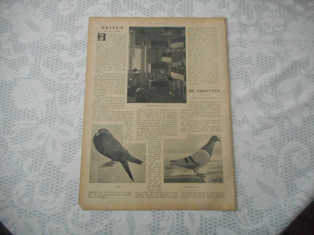 Duiven. 1904., Ophalen of Verzenden, Voor 1920, Nederland, Knipsel(s)