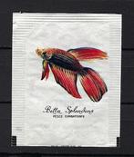 2924 VISSEN, Ophalen of Verzenden, Buitenland