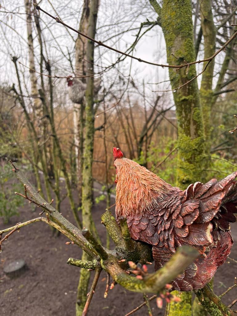 Decoratie kip en haan.(Per stuk), Meerdere dieren, Kip