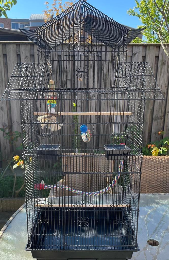 Mooi grote zo als nieuw woonkamer vogelkooi te koop, Dieren en Toebehoren, Vogels | Hokken en Kooien, Ophalen, Zo goed als nieuw