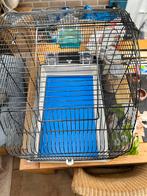 Vogelkooi met toebehoren, Dieren en Toebehoren, Ophalen, Metaal, Vogelkooi