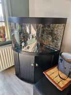 Hoek Aquarium met benodigheden, Ophalen, Leeg aquarium