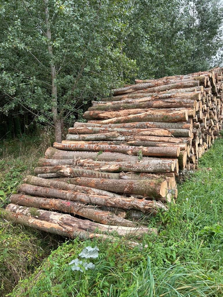 Inkoop (grote) partijen stamhout / boomstammen, Tuin en Terras, Haardhout, Ophalen