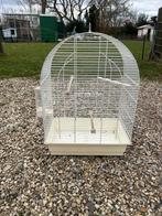 Vogelkooi, Ophalen of Verzenden, Gebruikt, Metaal, Vogelkooi