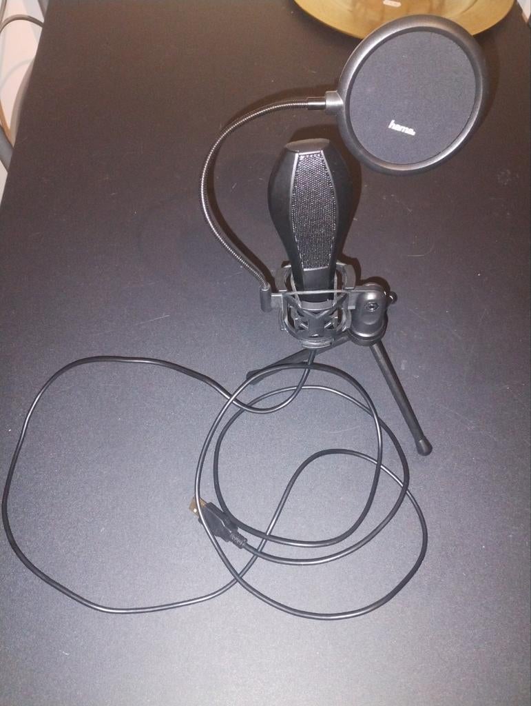 Microfoon, Muziek en Instrumenten, Ophalen of Verzenden, Gebruikt, Studiomicrofoon