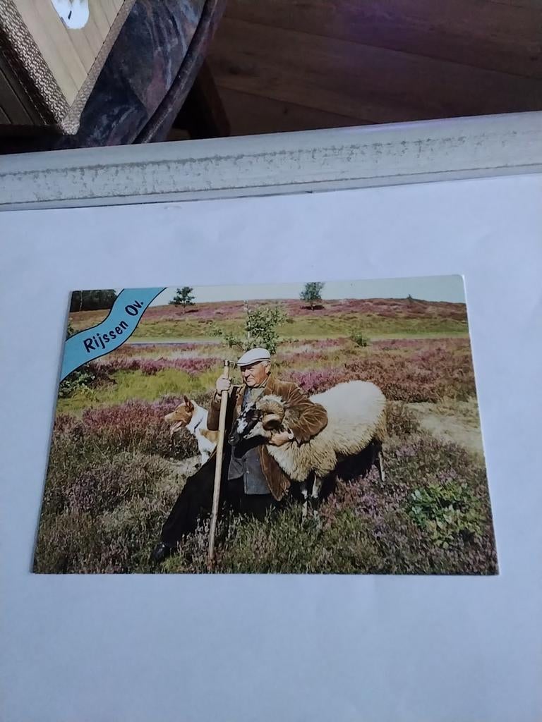 RIJSSEN. OV.   1983.   HERDER MET HOND EN SCHAAP, Ophalen of Verzenden, 1980 tot heden, Overijssel
