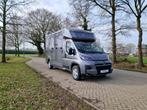 Opel Movano AKX S3 nieuw paardenwagen Automaat Pro-safety he, Dieren en Toebehoren, Paarden en Pony's | Trailers en Aanhangwagens