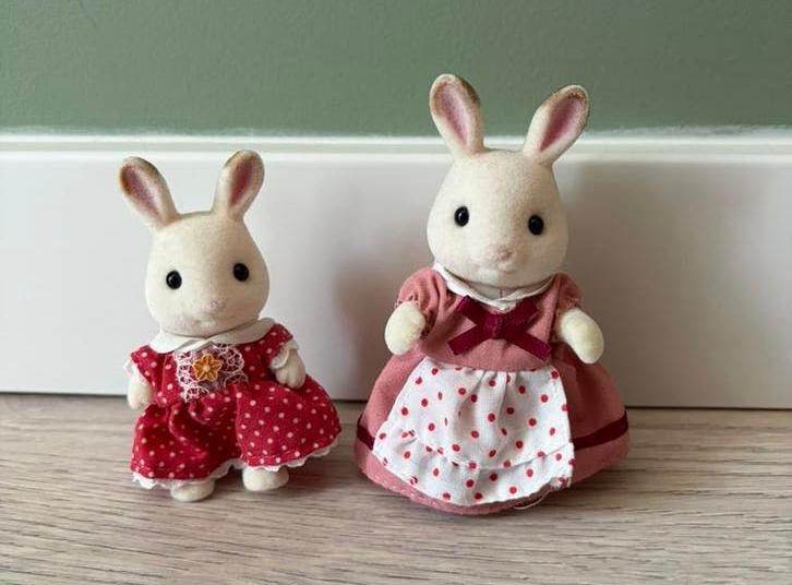 Sylvanian families, Ophalen of Verzenden, Gebruikt, Toebehoren
