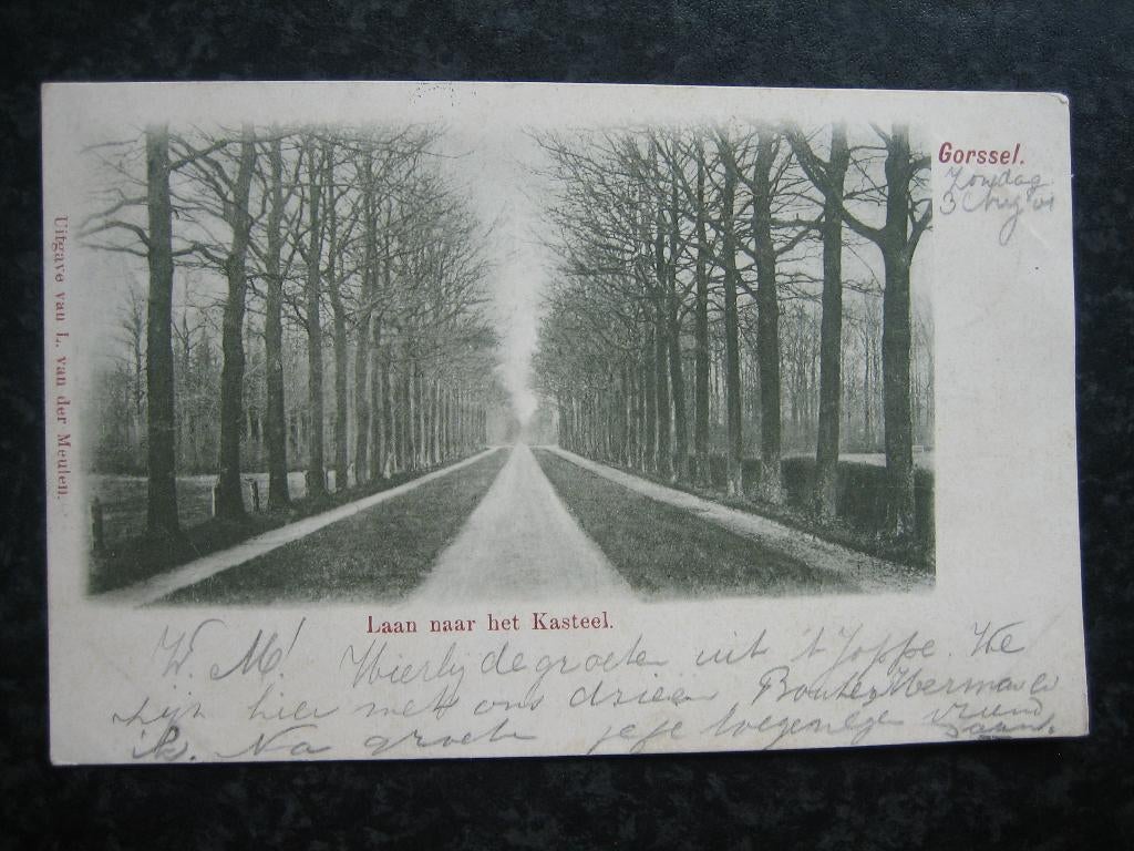 GORSSEL  Laan naar het kasteel, Ophalen of Verzenden, Voor 1920, Gelderland