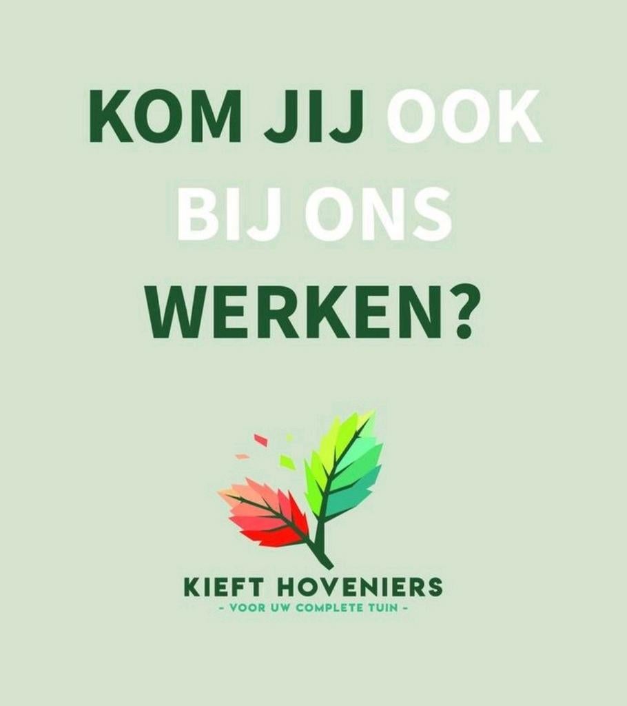 Gezocht timmerman/ houtbouwer!, 33 - 40 uur, MBO, Vanaf 1 jaar, Overige vormen