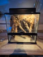 Exo terra terrarium, Dieren en Toebehoren, Ophalen