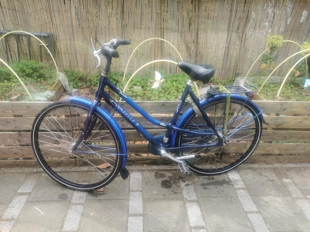 Gazelle touche blauw, Ophalen