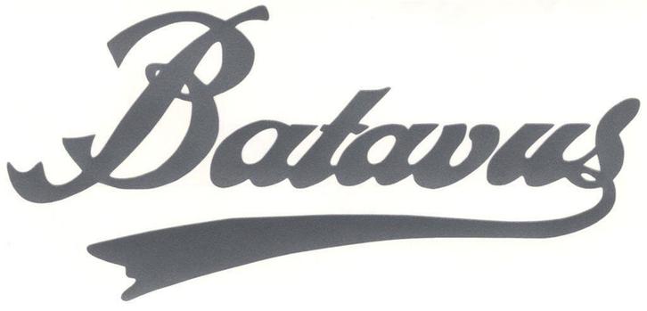 Batavus sticker #4, Motoren, Accessoires | Stickers, Ophalen of Verzenden