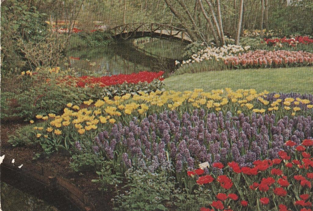 LISSE Keukenhof, Verzamelen, Ansichtkaarten | Nederland, Gelopen, Zuid-Holland, 1960 tot 1980, Verzenden