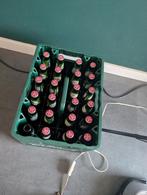 Grolsch crate beer, Ophalen, Nieuw, Glas of Glazen, Grolsch