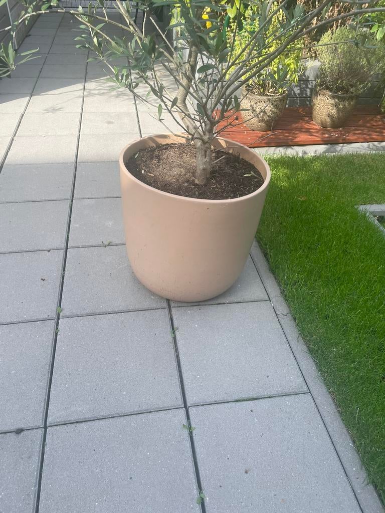 Bloempot intratuin, Tuin en Terras, Bloempotten, Rond, Ophalen of Verzenden, Zo goed als nieuw, Aardewerk