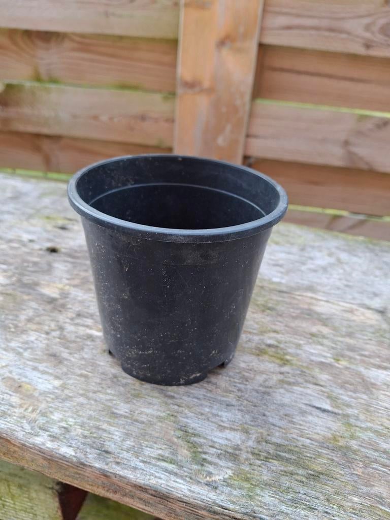 Kweekpotjes voor planten en zaailingen | P10, Tuin en Terras, Ophalen of Verzenden, Gebruikt, Overige typen