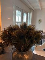 Grote bos pauwenveren, Ophalen, Gebruikt